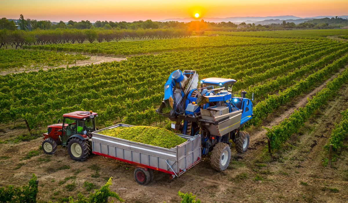 pneus VX-Tractor_tracteurs-vignes_enjambeurs